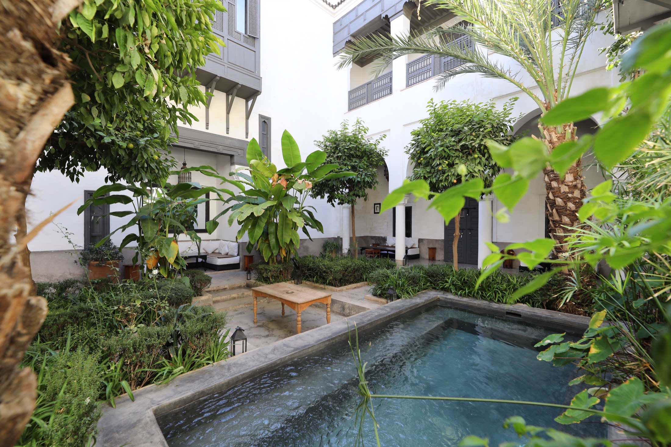 Un patio-jardin d'une maison de la collection Chez Sophie — la piscine au milieu des palmiers et des salons blancs